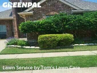 Grass Cut nearby Mc Kinney, TX, 