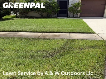 Yard Cutting nearby Kissimmee, FL, 