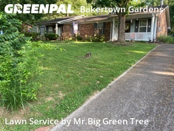 Lawn Cut nearby Nashville, TN, 