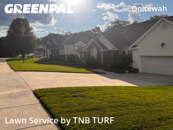 Lawn Cut nearby Ooltewah, TN, 