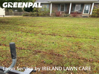 Yard Cutting nearby Clarksville, TN, 