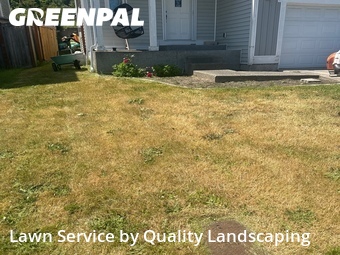 Lawn mowed in Bremerton, 98312