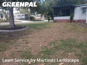 Lawn Cut nearby Lady Lake, FL, 