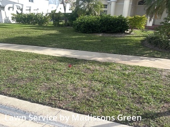 Lawn mowed in Wellington, 33414