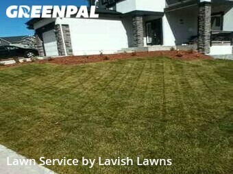 Lawn Cutting nearby Colorado Springs, CO, 