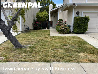 Lawn Care nearby Fremont, CA, 