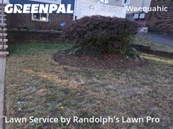 Turf Services in Newark, 7112, Landscaping Maintenance by Randolph's Lawn Pro, work completed in Oct , 2025