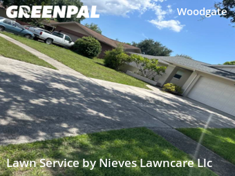 Lawn Cut nearby Clearwater, FL, 