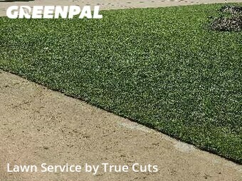 Yard Cutting nearby Del City, OK, 