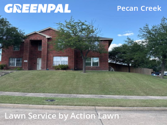 Lawn Care nearby Mesquite, TX, 