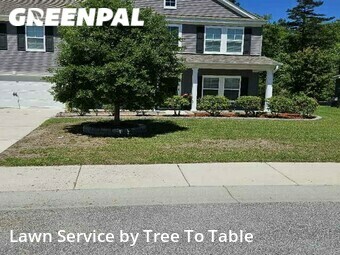 Grass Cutting nearby Charleston, SC, 