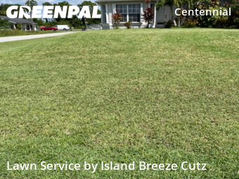 Grass Cut nearby Lehigh Acres, FL, 