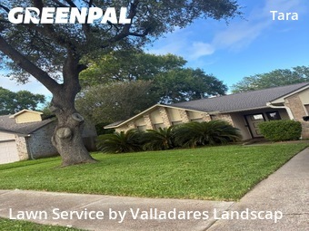 Lawn Cutin Sugar Land,77479,Lawn Care by Valladares Landscap, work completed in Jul , 2026