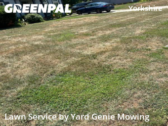 Grass Cut nearby Charlotte, NC, 