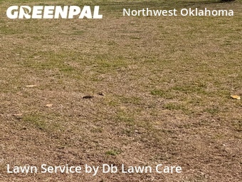 Lawn Care nearby Oklahoma City, OK, 