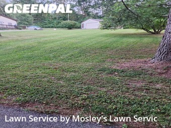 Lawn Cutting nearby Clarksville, TN, 