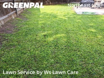Lawn Cuttingin Schertz,78154,Lawn Cutting by Ws Lawn Care, work completed in Jun , 2026