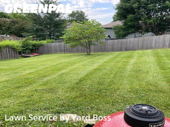 Lawn Service nearby Blue Springs, MO, 