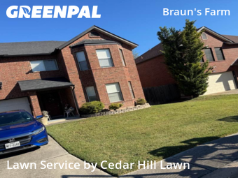 Lawn Care Service nearby San Antonio, TX, 