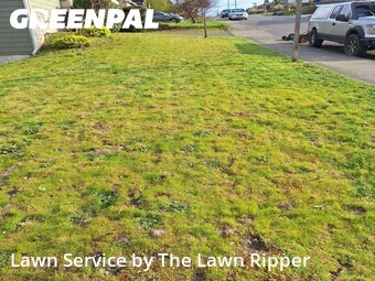 Lawn Mowing nearby Seattle, WA, 