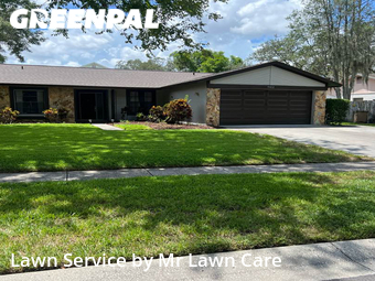 Lawn Cut nearby Tampa, FL, 