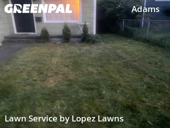 Grass Cut nearby Seattle, WA, 