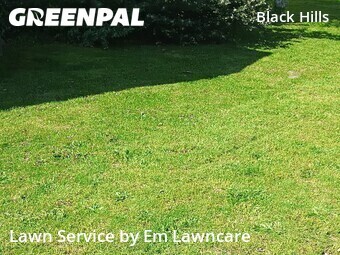 Lawn Mow nearby Grand Rapids, MI, 