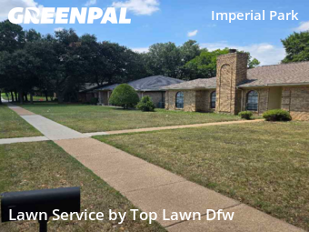 Yard Cutting nearby Plano, TX, 