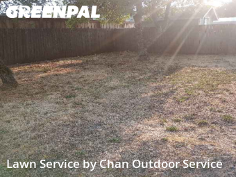 Grass Cutting nearby Springfield, OR, 