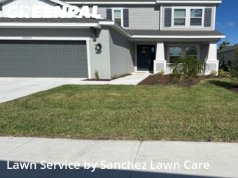 Grass Cut nearby Palmetto, FL, 