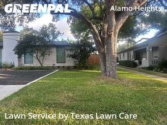 Lawn Care Servicein Alamo Heights,78209,Lawn Care Service by Texas Lawn Care, work completed in Dec , 2025