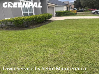 Grass Cut nearby St. Augustine, FL, 