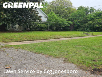 Grass Cut nearby Jonesboro, AR, 