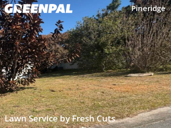 Lawn Cutting nearby Cocoa, FL, 