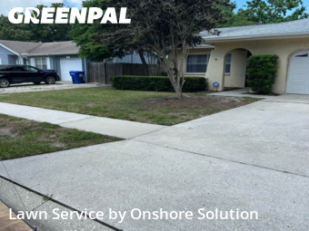 Yard Cutting nearby Palm Harbor, FL, 