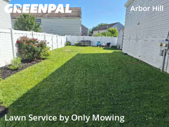 Lawn Cut nearby Albany, NY, 