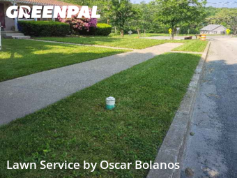 Grass Cutting nearby Endicott, NY, 