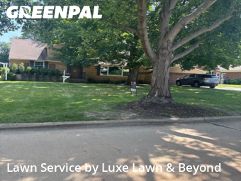 Lawn Mowing Service nearby Lyndhurst, OH, 
