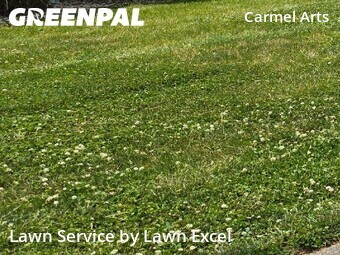 Yard Cutting nearby Carmel, IN, 