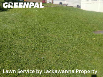 Mowing Services in Scranton, 18504, Lawn Maintenance by Lackawanna Property, work completed in Nov , 2025