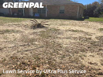 Lawn Cut nearby Pace, FL, 