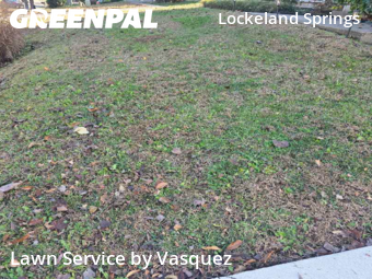 Yard Cutting nearby Nashville, TN, 