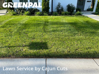 Lawn Service nearby Murfreesboro, TN, 