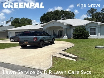 Grass Cutting nearby Palm Coast, FL, 
