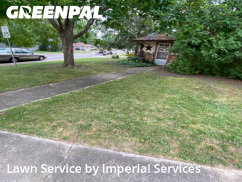 Grass Cutting nearby Park Forest, IL, 