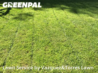 Yard Mowing nearby Silver Spring, MD, 