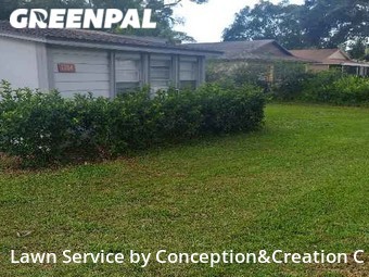 Lawn Mow nearby Orlando, FL, 