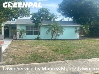 Grass Cut nearby St. Petersburg, FL, 