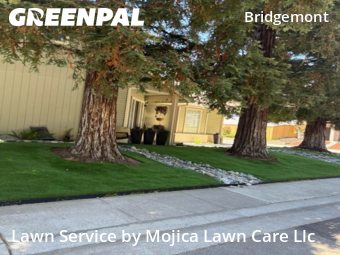Work completed by residential-lawn-cutting-businesses-in-Citrus Heights-CA