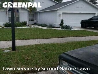 Grass Cutting nearby Ruskin, FL, 